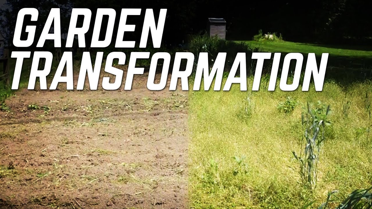 Garden Covered in Weeds gets Transformed with Tiller